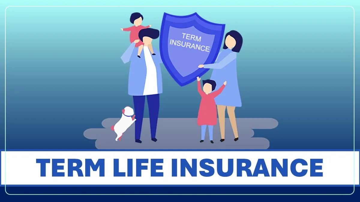 Best Life Insurance Plans in 2025 Get the Most Affordable and High Value Quotes